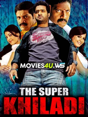 The Super Khiladi - Brindavanam